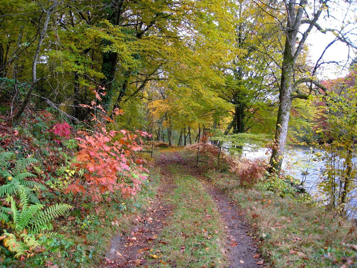 L'Elassier Saint-Priest-sous-Aixe ภายนอก รูปภาพ
